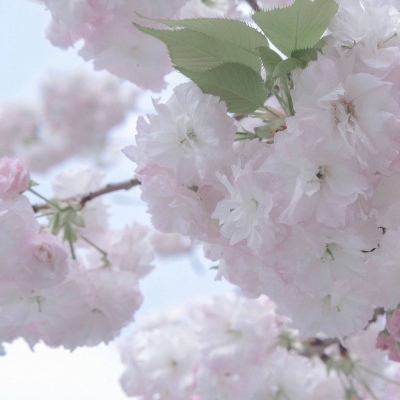 Furry角色性格塑造技巧福瑞交流群